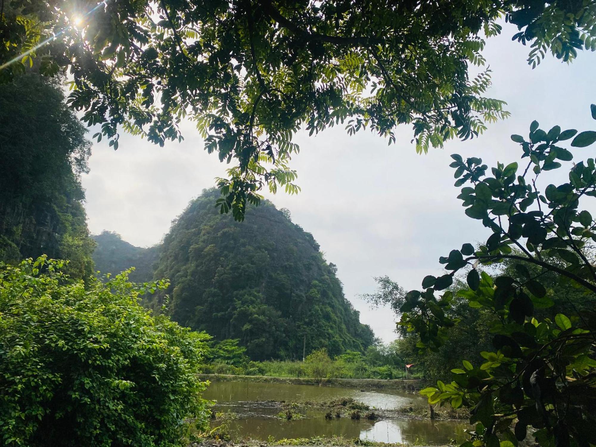 Tamcoc Viet Tan Homestay & Garden ニンビン エクステリア 写真