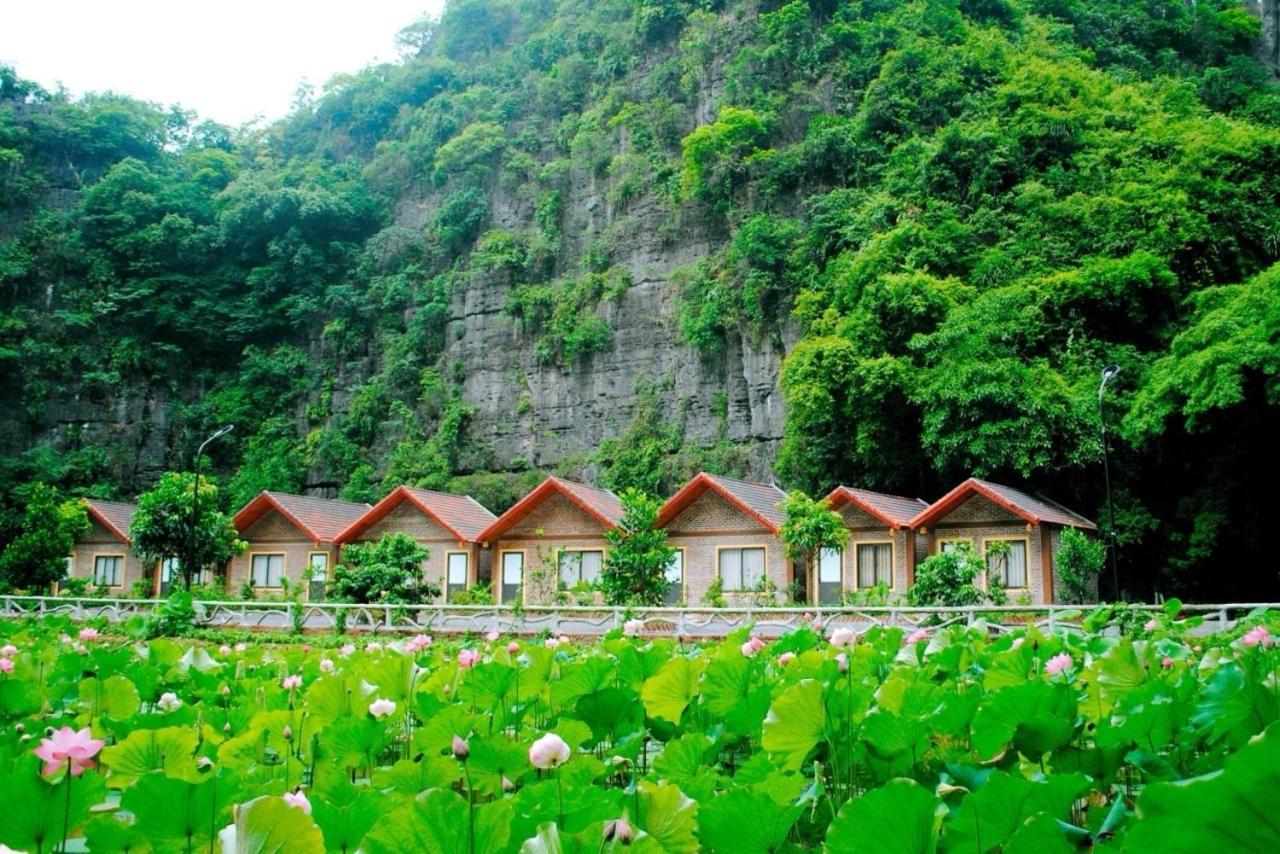 Tamcoc Viet Tan Homestay & Garden ニンビン エクステリア 写真