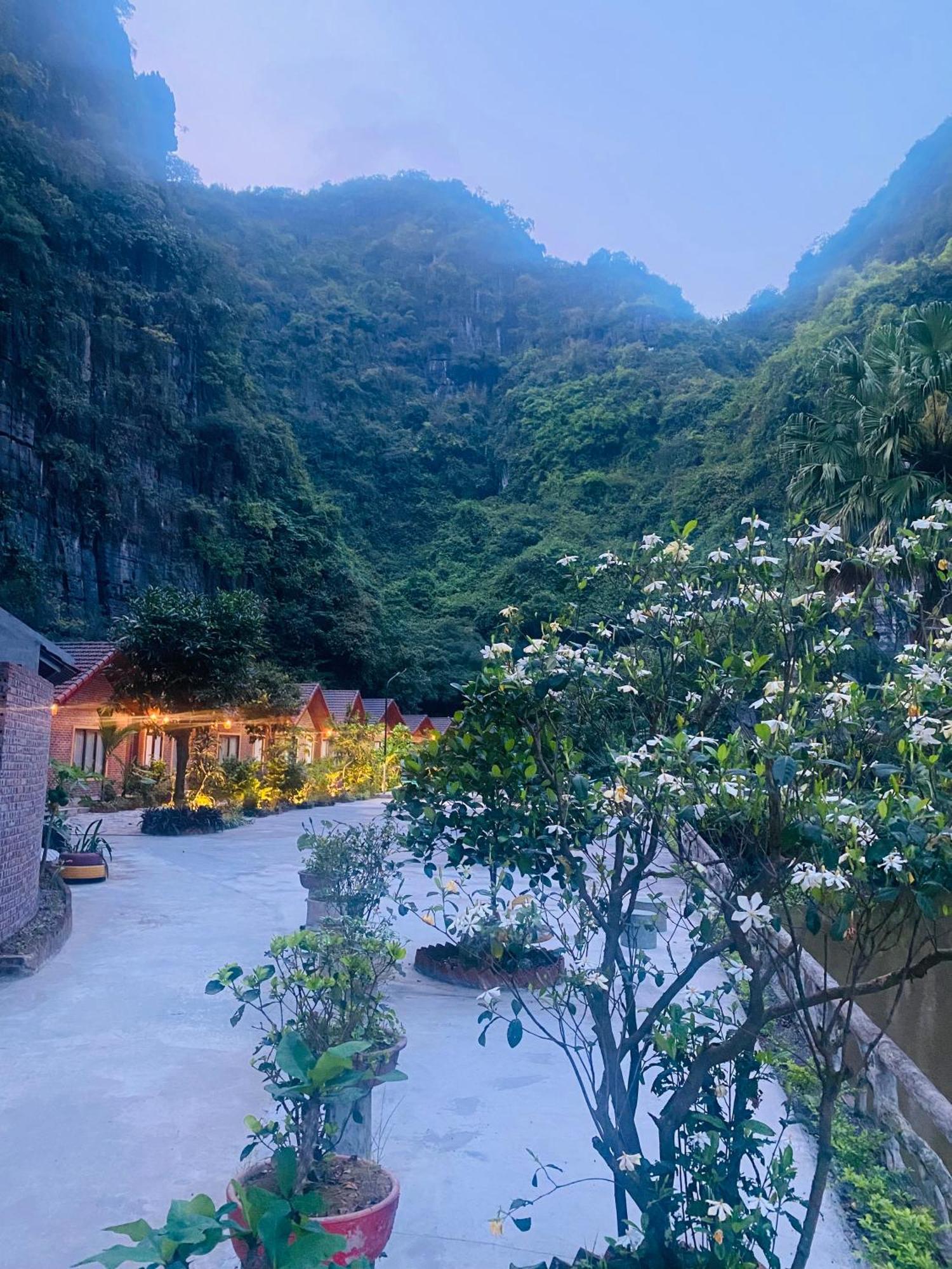 Tamcoc Viet Tan Homestay & Garden ニンビン エクステリア 写真